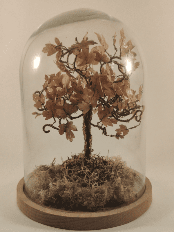 Arbre de vie en fil de fer argenté avec des feuilles de chêne et de la mousse. Composition sous cloche de verre